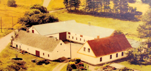 Bindeballe - Grønbjerglund
